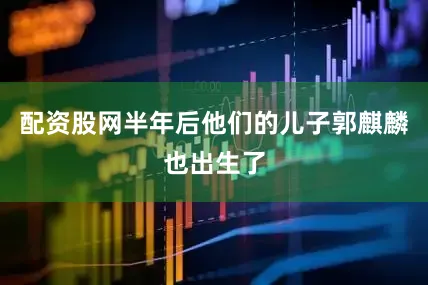 配资股网半年后他们的儿子郭麒麟也出生了